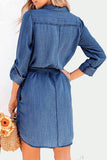 Elegant Solid Frenulum Turndown Collar Long Sleeve Loose Denim Dresses