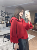 Bjlxn Korean style Long Sleeve Sweater Autumn Winter New Hooede Womens Clothing Pullover Tops Warm Fashion Women Knitwears