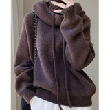 Bjlxn Autumn Winter Fashion Solid Soft Wool Hooded Pullovers Women Vintage Commute Loose Thick Sweaters Comfortable Warm Knit Tops