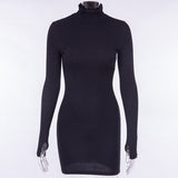 Turtleneck Knitted Sweater Dress Women Long Sleeve Mini Dress Drawstring Ruched Bodycon Fall Winter Dresses