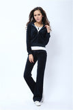 Spring/Fall 2021 Women's Brand Velvet Fabric Tracksuits Velour Suit Women Track Suit Hoodies And Pants fat sister sportswear - Bjlxn