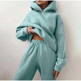 Bjlxn New Tracksuit Women Elegant Solid Suits Fleece Warm Hoodies 2 Piece Set  Autumn Winter Fashion Oversized Sweatshirts Tracksuit