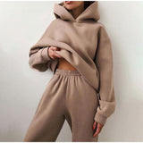 Bjlxn New Tracksuit Women Elegant Solid Suits Fleece Warm Hoodies 2 Piece Set  Autumn Winter Fashion Oversized Sweatshirts Tracksuit