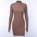 Turtleneck Knitted Sweater Dress Women Long Sleeve Mini Dress Drawstring Ruched Bodycon Fall Winter Dresses