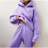 Bjlxn New Tracksuit Women Elegant Solid Suits Fleece Warm Hoodies 2 Piece Set  Autumn Winter Fashion Oversized Sweatshirts Tracksuit