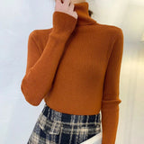 Harajuku Pullover Turtleneck Sweater Women Fall Soft Knit Sweater Slim Elastic Korean Simple Basic Cheap Jumper Solid Tops