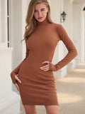 Turtleneck Knitted Sweater Dress Women Long Sleeve Mini Dress Drawstring Ruched Bodycon Fall Winter Dresses